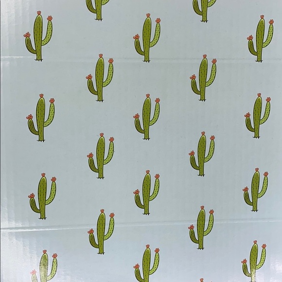 LAST SET ))) CLEARANCE 9 (10X6X4) Cactus Boxes - Picture 7 of 8